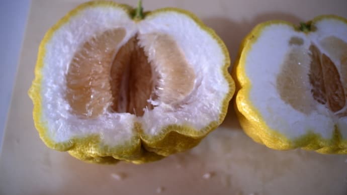 「水煮しない?」鬼柚子の甘煮