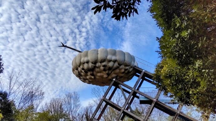 浮雲の桟橋:パノラマ展望台
