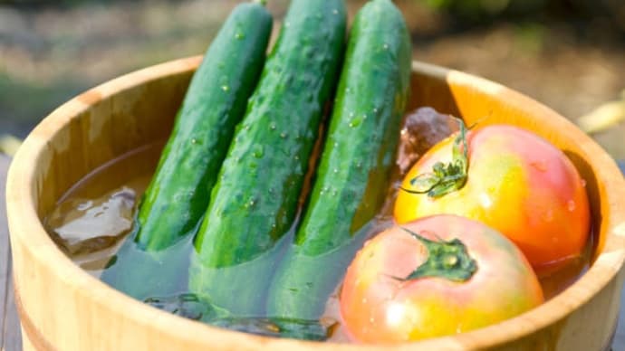 夏の健康と美肌を守る！おすすめ野菜5選