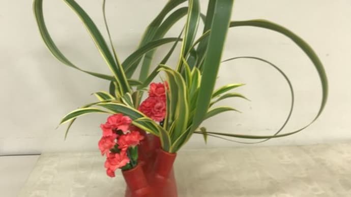 190215 作楽会 いけばな 草月流 108-② カーネーション・ニューサイラン、花器の形を考える