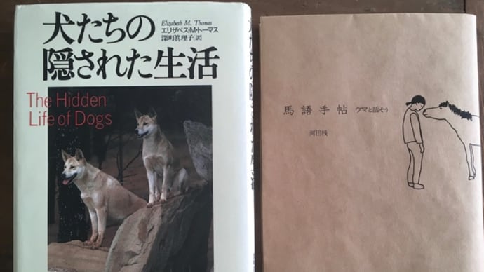 7日間ブックカバーチャレンジ