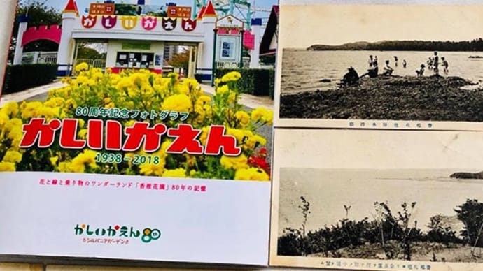 発掘!開園80年「かしいかえん」の原点、香椎花壇の絵葉書シリーズ