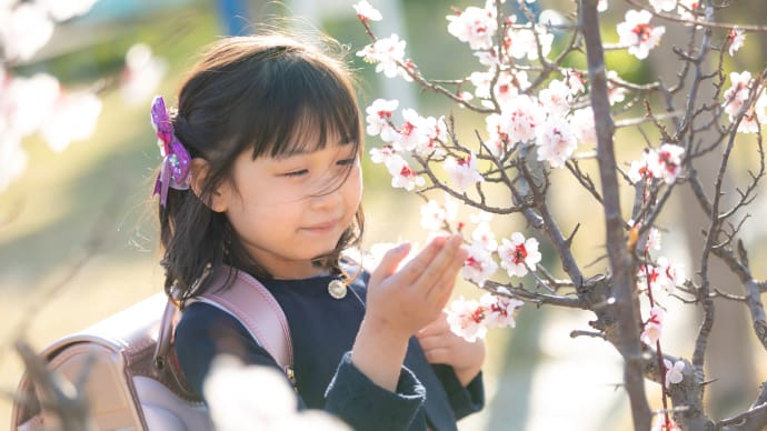 -小学校入学記念&卒園記念*梅*仙台市泉区向陽台の一軒家貸切フォトスタジオ*富谷市-