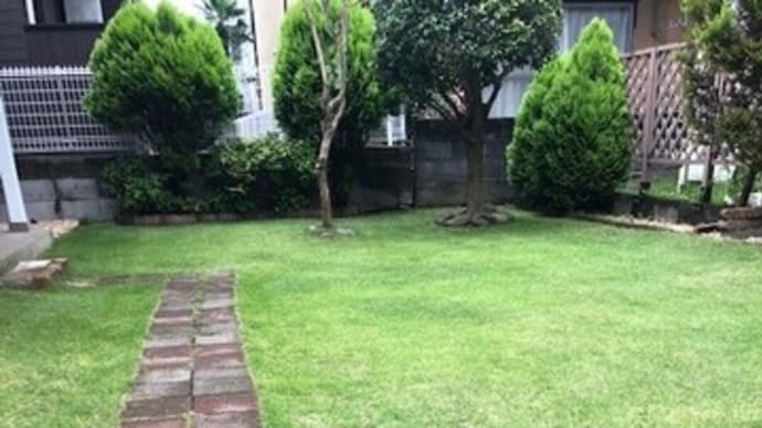体調不良で２日間完全休養しました