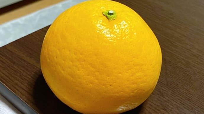 ミッキーはおとんが大好き