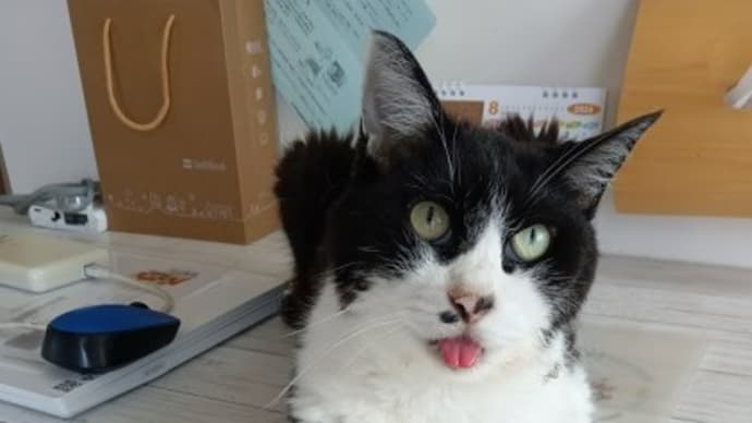 日々色々