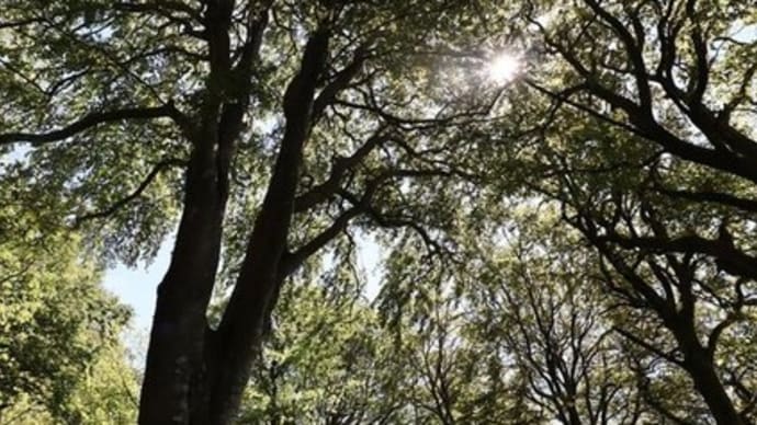 その差って何ですか?☆エッセンスの効果、感じる?感じない?!