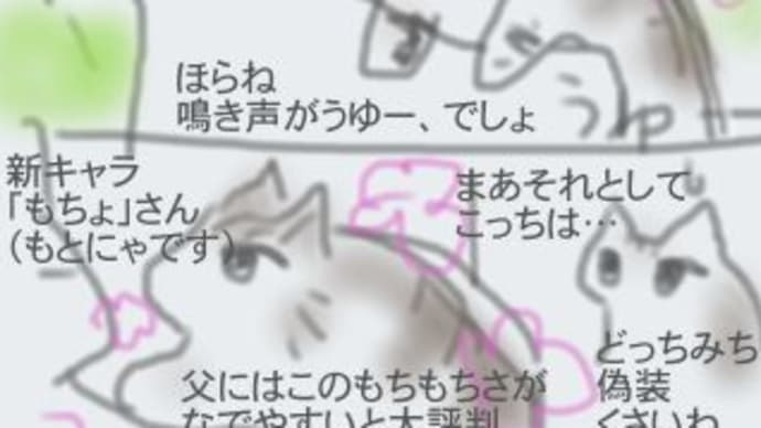 我が家の新キャラ?ですか?