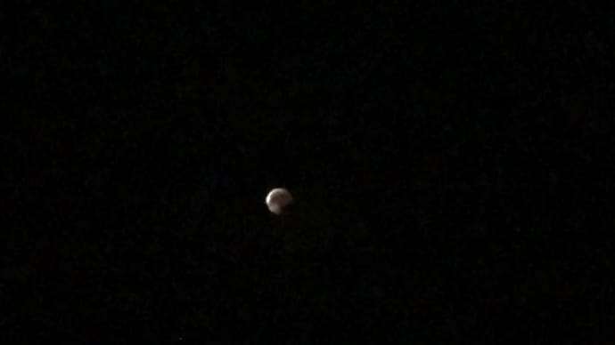 八丈島でも 皆既月食🌘見えたんですね〜😳