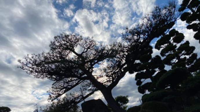 最近のお仕事は