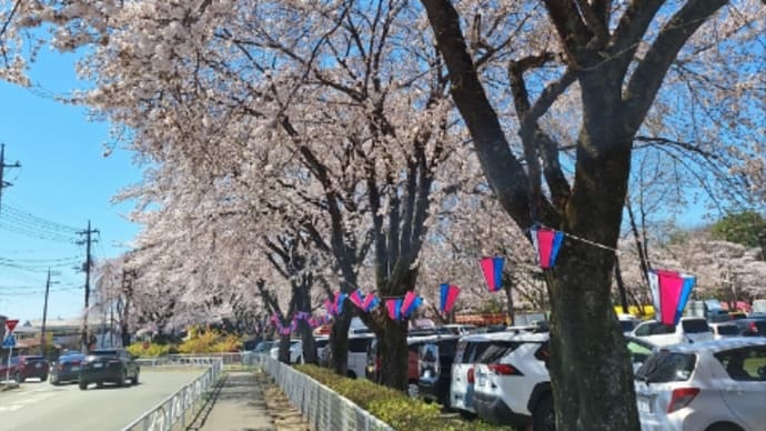 那須塩原市黒磯公園へ