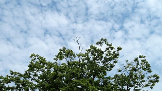夏休み前