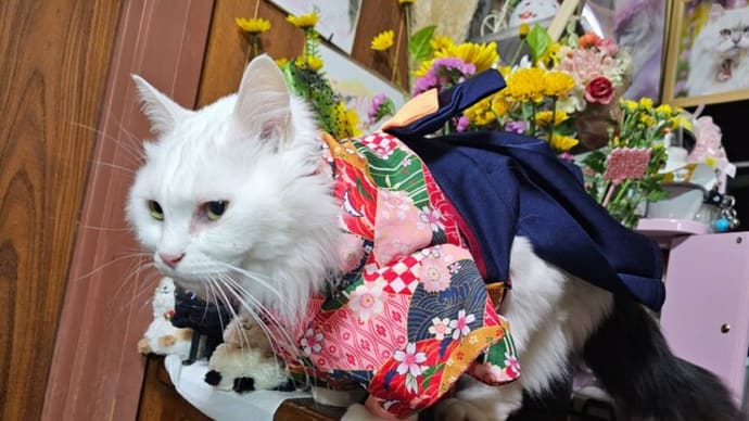 主役が~