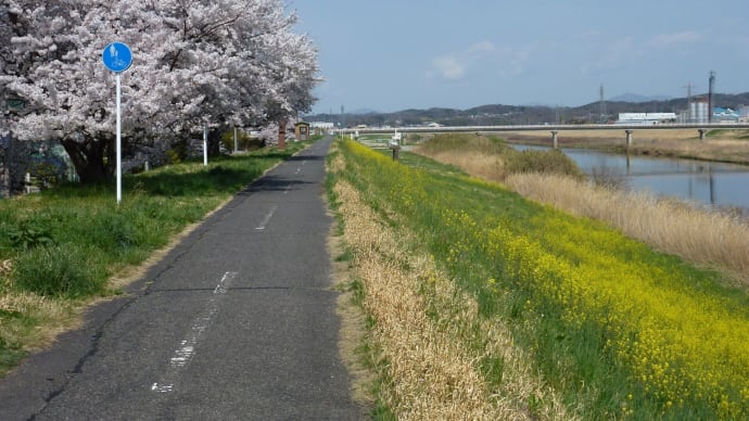 【脳梗塞とリハビリの日々㊺】花のみちのく自転車道、小和滝公園で桜を愛でる・・・