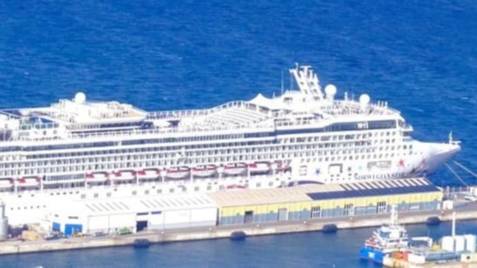カナリア諸島クルーズ旅行のホームページを完成させました。