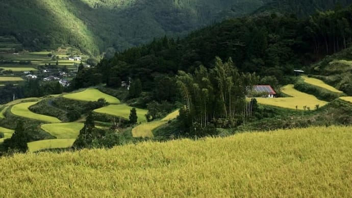 立割棚田〔高知県土佐町地蔵寺〕