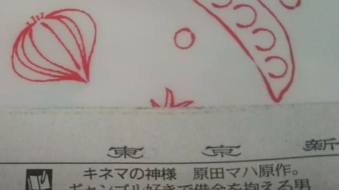 東京新聞夕刊一面に沢田研二の文字
