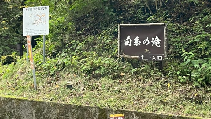 24長野 白糸の滝