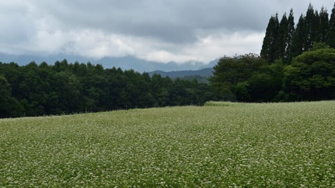 8月最後は、戸隠の散歩!