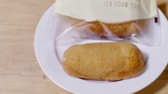 六花亭 シーフォームケーキ