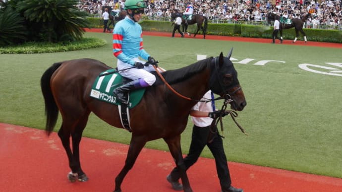 小倉競馬・プロキオンステークスの勝馬「ヤマニンウルス」
