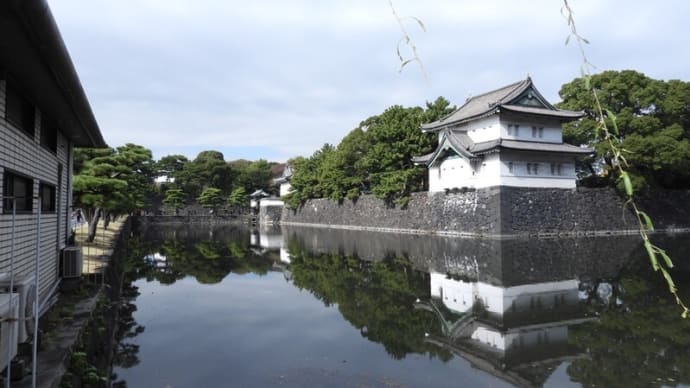 東京・イチョウ並木 皇居東御苑へ