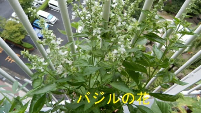 九月ですね、自由な夏休みも終わりました。