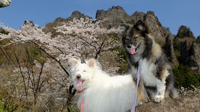 妙義山さくらの里