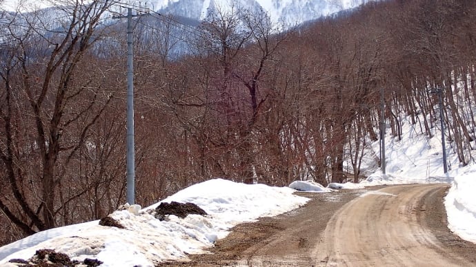 春まだ遠い裏山の散歩道