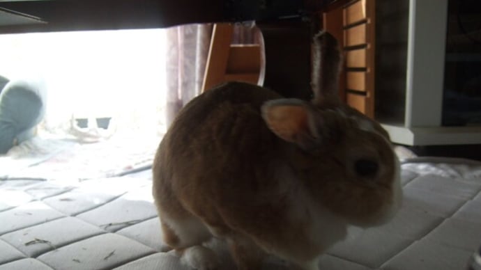ちゃる病院が続く