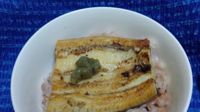 鹿児島産鰻白焼を関西風にして田丸屋山葵チューブで昨日は晩御飯にしたんだね:P