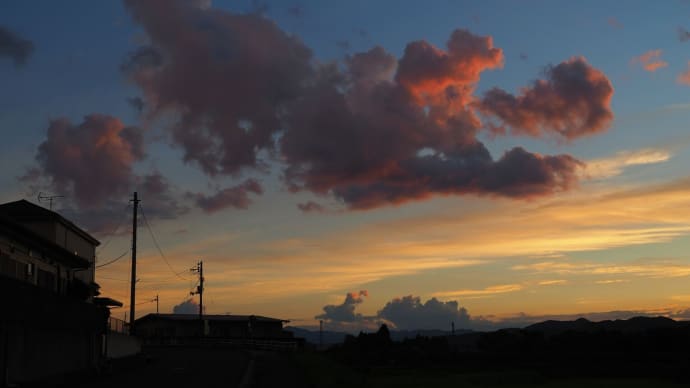 7月最後のとんでもなく暑かった日・・・