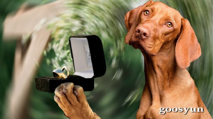 画像を回転状にぼかす~Photoshop Elements