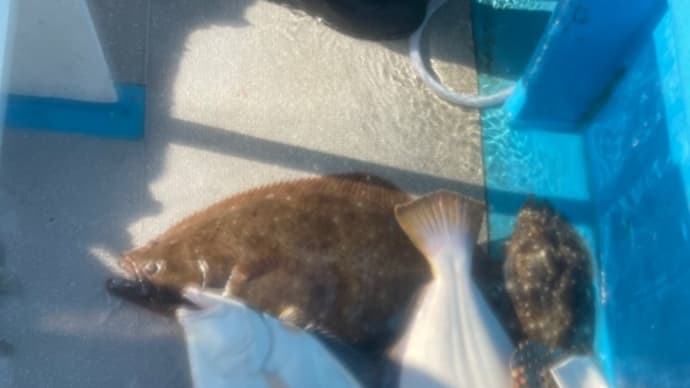 8日・釣果