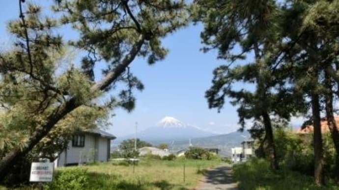 左富士（東海道歩き旅・駿河の国）