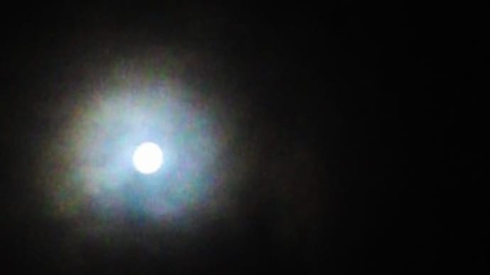 「後の十三夜」が観られました♪
