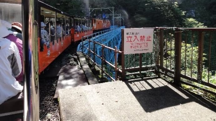 快晴の黒部峡谷自然観察会
