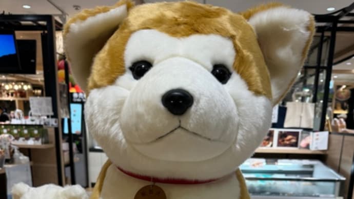 今日いち-2024年9月28日