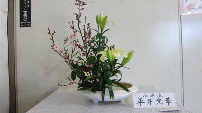 篠窪（しのくぼ）の隣町 渋沢駅に小原流の平井様が「梅の花」をいける　(2024/01/16）