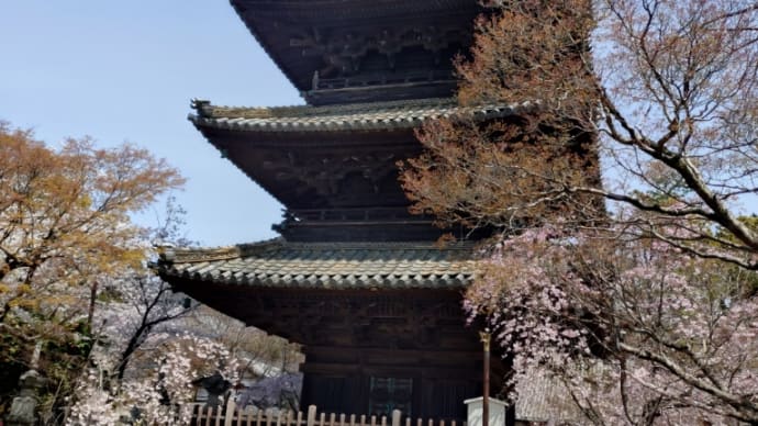 縁日と桜