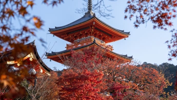 秋の清水寺は紅葉の赤で映える⁉京都の名所は秋も最高！
