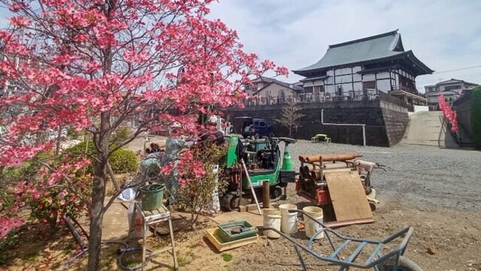 川越台地の湧き水　しだれ桜とハナミズキ  と井戸設置