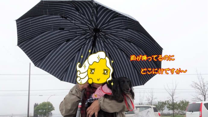 あの看板は?