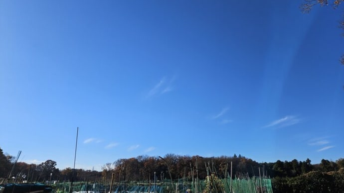 さて、どうなるかな