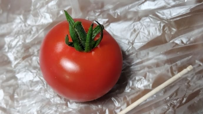 はつしゅうかく