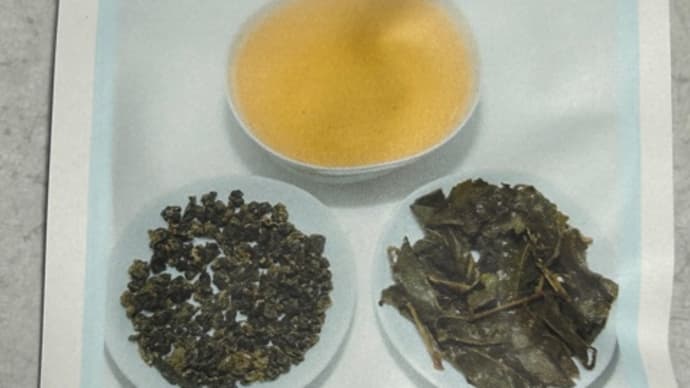 台湾烏龍茶テイスティング