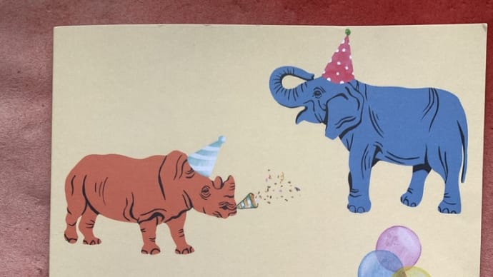 誕生日カードとブーゲンビリアの花芽