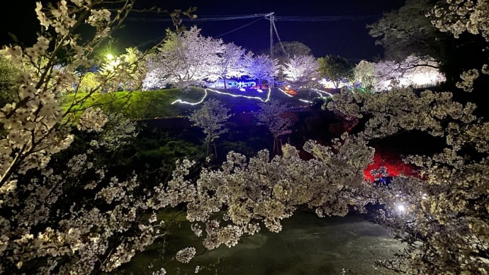 市場農村公園ライトアップ