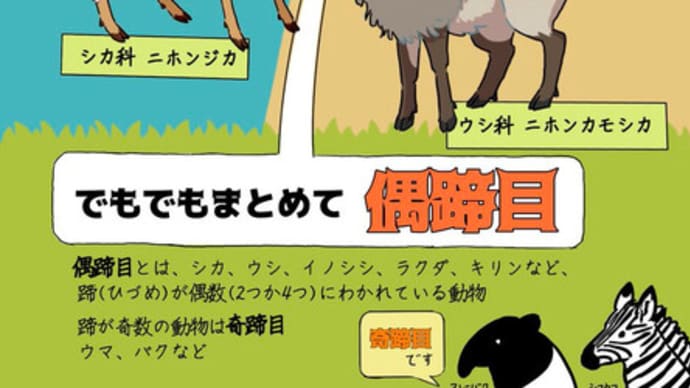 しかのこのこのここしたんたん