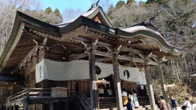 さくらさくら